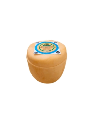 Queso